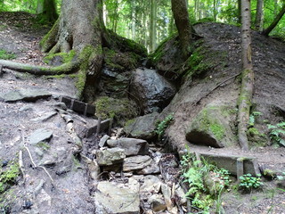wasserfall mit fluss im wald