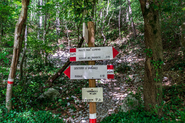 Vistdal sentiero 247G li Vurgacci a Pioraco nelle Marche in Italia