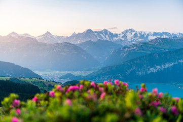 Obraz premium Morgenstimmung über Interlaken, dem Thunersee und den Berner Alpen mit Eiger, Mönch und Jungfrau