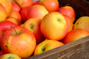 Bio-Äpfel aus der Lagerung
