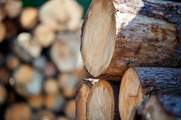 Stacked logs and woodpiles, lumber and wood industry