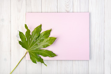 Naklejka na ściany i meble Flat lay composition with pink board and green leaves on white wooden table