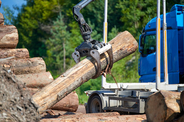 Heavy lifting crane loading cut wooden logs Crane operator loading logs on to truck - logs and woodpiles