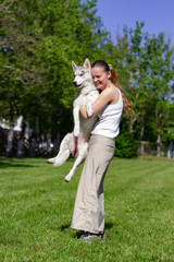 Fototapeta premium Young beautiful curly girl playing with her dog with a plate of frisbee in summer park. Siberian husky dog.