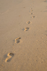 Fototapeta na wymiar Prints of children's feet on the wet sand by the sea.