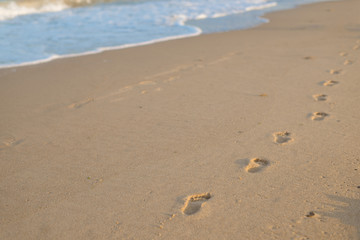 Fototapeta na wymiar Prints of children's feet on the wet sand by the sea.