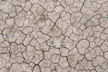 The texture of the dried cracked earth.