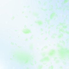 Green flower petals falling down. Superb romantic 