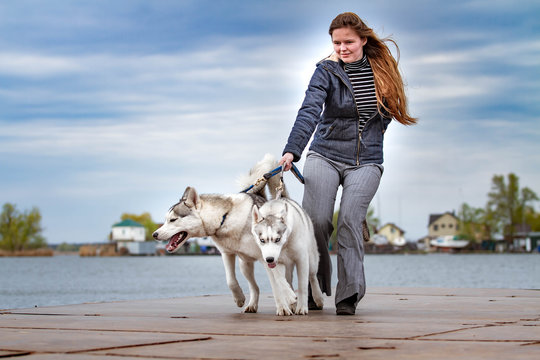 Young beautiful girl with red hair is sitting on a pier with two husky dogs. Woman with a pair of Siberian Husky