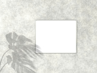 4x5 horizontal Chrome frame for photo or picture mockup on concrete background with shadow of monstera leaves. 3D rendering.