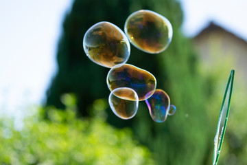 bulles de savon