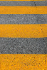 strisce pedonali gialle sull'asfalto della strada, yellow pedestrian crossing on the asphalt of the...