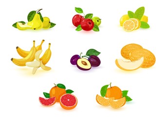 Vector image shows set of different colorful examples of tropical and local fruits isolated illustration
