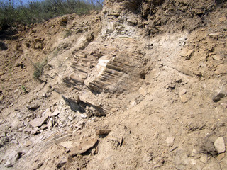 sand quarry in the desert