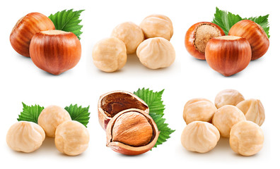 Hazelnuts isolated on white