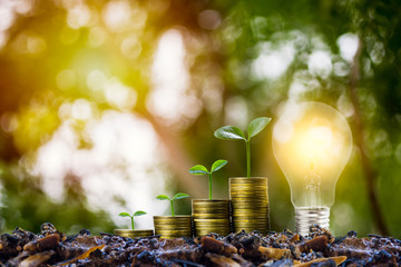 Savings and investment concept. Plant growing on stack of coins with Light bulb. Depicts idea for...