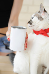 White fluffy cat in a red bow tie sniffs freshly roasted coffee from can from the hands of a...