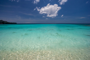 Coast of the island of bonaire in summer
