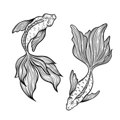 Hand drawn ethnic fish Koi carp - symbol of harmony, wisdom. Vector illustration isolated. Spiritual art for tattoo, boho, coloring books. Beautifully detailed, serene.