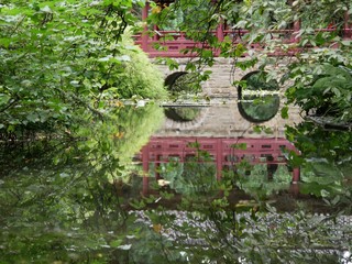 garden in spring