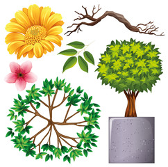 Set of isolated objects theme gardening