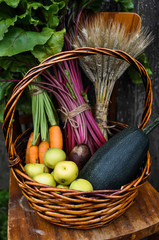 Basket with gifts of autumn consisting of carrots, beets, zucchini, apples, wheat on an old chair ....