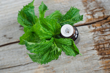 Fototapeta na wymiar Small bottle with essential mint oil on the old wooden background. Fresh spearmint leaves close up. Aromatherapy, spa and herbal medicine ingredients. Copy space