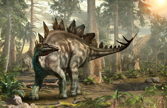 Fototapeta Stegosaurus forest scene 3D illustration