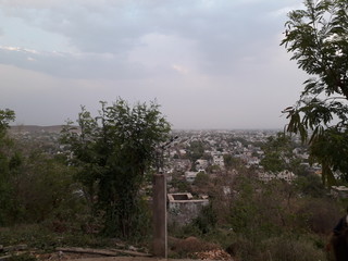 Obraz premium trees and blue sky