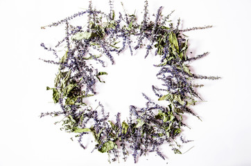 Flower composition. A wreath of dried sage flowers on a white background.Top view. Flat lay.