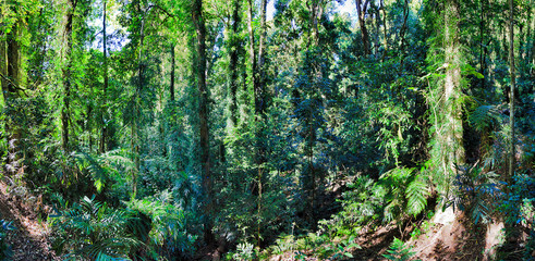 DNP Walk track inside pan