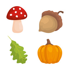 set of nature fungus with nut and leaf with pumpkin