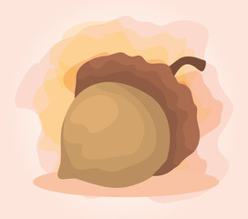 deslicious nut healthy organic fruit