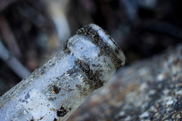Fototapeta premium botella