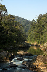 Parc national de Ranomafana, Madagascar