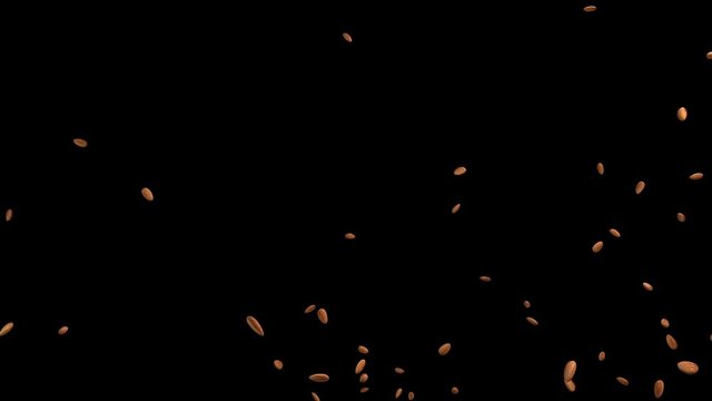 3D animation of a almond flow with alpha layer