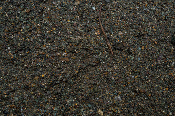 The texture of a shallow river stone. Pebble Background Image