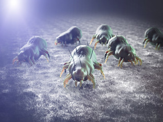 house dust mite 3d render
