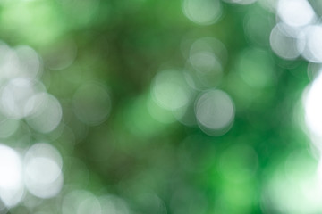 beautiful green bokeh light , abstract blur image with bokeh background 