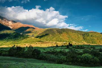 Obraz premium landscape. clouds in the mountains are covered with autumn forest in Georgian Svaneti
