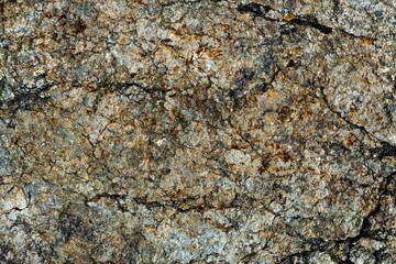 The texture of the stone overgrown with moss. Background image of a boulder