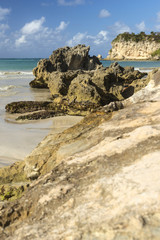 Wild beach in the sandy bay of the blue tropical sea.