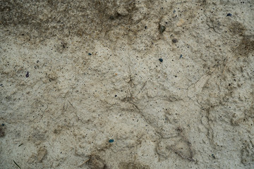 Texture of dried cracked clay. Macro background image of dried clay