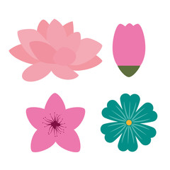 set of nature flowers plants style