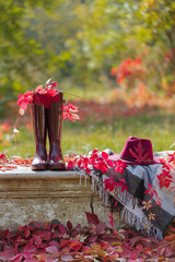 Autumn garden. On the stone bench there is a blanket, pillows, a basket of apples and a burgundy hat with rubber boots.