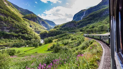 Tuinposter Uitzicht vanaf de mooiste treinreis Flamsbana tussen Flam en Myrdal in Aurland in West-Noorwegen © HildaWeges