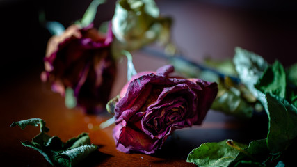 dried rose on table