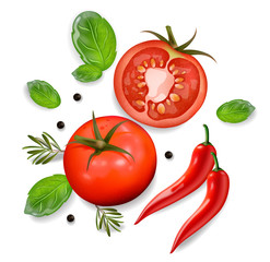 Tomato and chili isolated vector realisic. 3d illustration white backgrounds