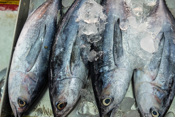 Fresh sea fish sell in local fishery market in Samutprakan