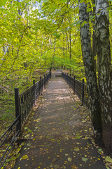 The bridge over a small ravine. October.
